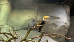 -Zoolung Zoolung动物主题公园(海信广场店)