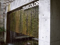 -苏州本色美术馆