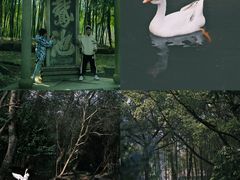 -兰亭风景区