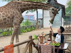 -灵玲国际马戏城