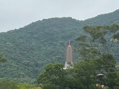 -深圳仙湖植物园