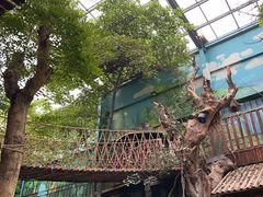 -呀路古热带植物园
