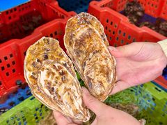 -坛南湾阿强农家乐.海鲜大排档老字号(福州地标美食店)