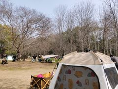 -东湖落雁景区