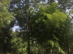 -天目湖御水温泉·度假酒店