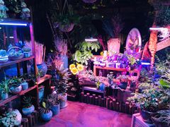 -莫太花餐厅(河北路店)