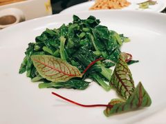 清炒豌豆苗-大董(阜成路店)