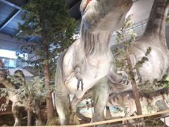 -湖南省地质博物馆