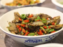 -壹盏灯(惠农店)