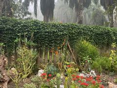 -中国科学院西双版纳热带植物园