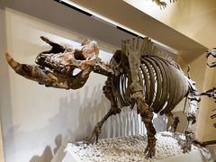 -国家自然博物馆