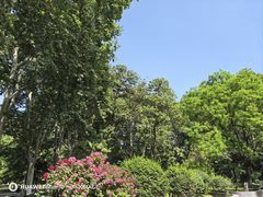 -星璨火吧KTV聚会餐厅(华清广场店)