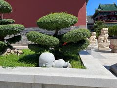 -天津大悲禅院