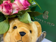 -Goyard 高雅德(国贸商城店)