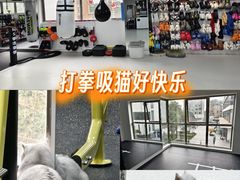 -M.S拳击泰拳馆(大学路店)