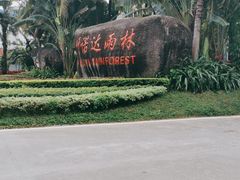 -呀诺达热带雨林