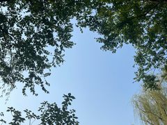 -太阳宫公园