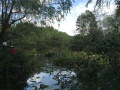 -新江湾城公园
