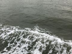 -厦门邮轮中心厦鼓码头(轮渡站)