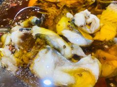 -雲蜀龙阁·金牌水煮鱼(方庄店)