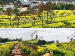 -光明小镇欢乐田园
