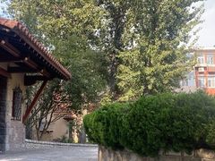-静园(和平区)