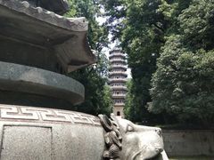 -灵谷景区