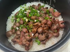 -羽鸽集·乳鸽专门店·地道顺德菜(岭南站店)