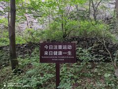 -五龙洞国家森林公园