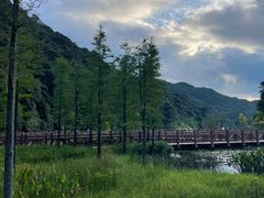 -广州市石门国家森林公园