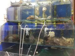 水产区-香满居张记小厨私房菜(青岛站店)