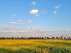 -嘉北郊野公园