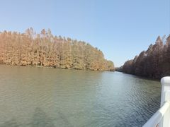 -上海海湾国家森林公园