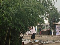 -曲江薰衣草庄园