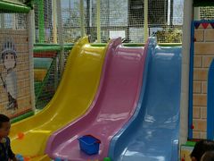 -南宫五洲植物乐园