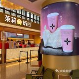 ‼️茉莉奶白也开来又一城啦～