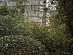 -北京喜剧院