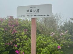 -梧桐山风景名胜区