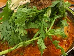 土豆排骨火锅-喇喇排骨火锅·传统韩式脊骨汤(望京西园总店)