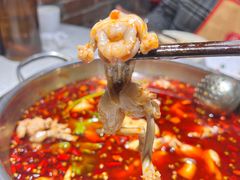 -蛙蛙鸡冷锅鱼(驷马桥店)