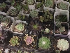 -密讯馆密室逃脱&换装侦探剧(环球港旗舰店)