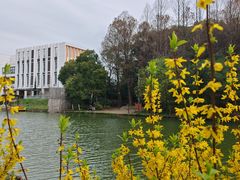 -新江湾城公园