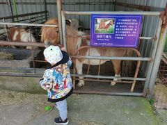 -金岛生态园烧烤露营地