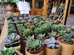 -花溪雨·森林餐厅(石基店)
