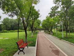 -滨河世纪广场公园