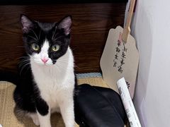 -原田新料理(1912店)