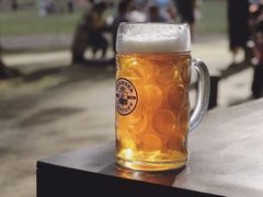 -上海共青森林公园