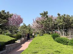 -燕儿岛山公园