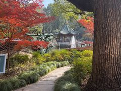 -申粤轩酒楼·三十年粤菜经典(丁香花园店)