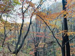-大连天门山国家森林公园